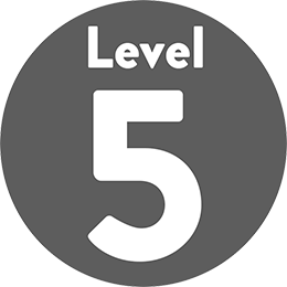 Level 5