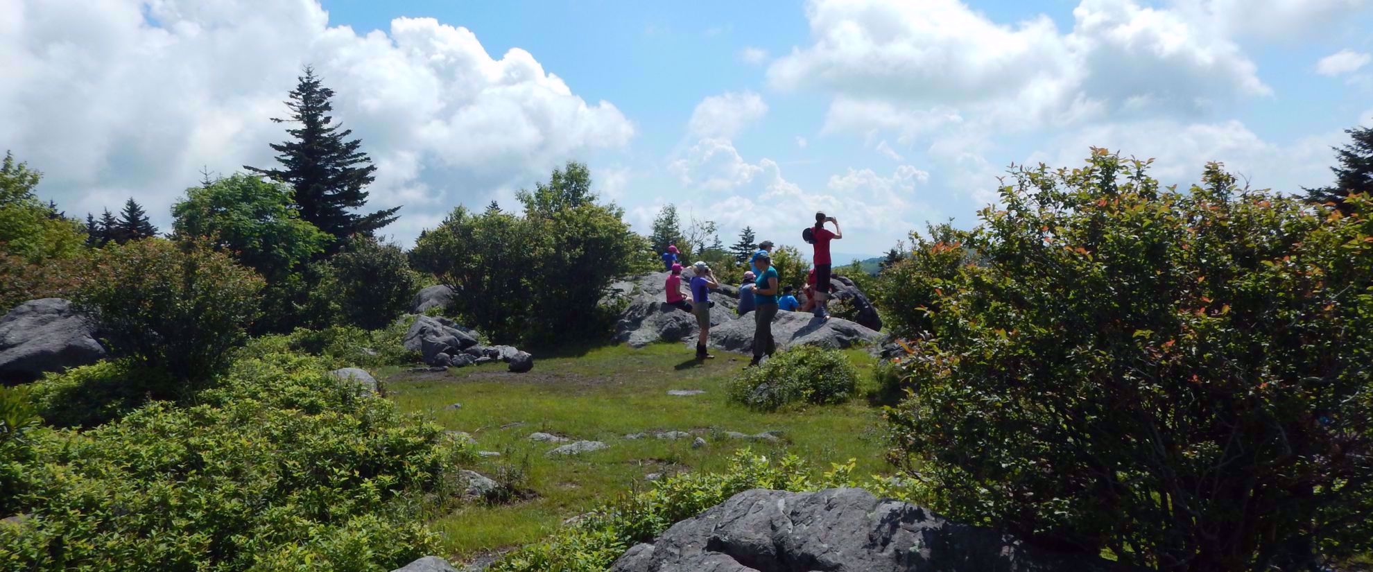 View from the Appalachian Trail