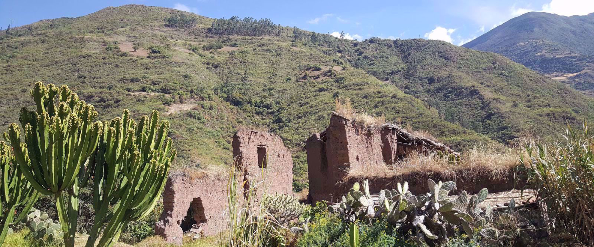 cactus and clay home ruins