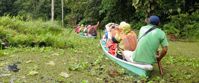 canoeing in marsh water ecuador amazon