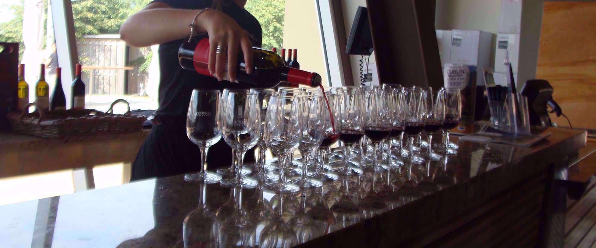 pouring red wine at wine tasting in nova scotia