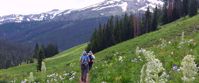 women hike on trail through colorado rockies with wildflowers pine trees and mountains
