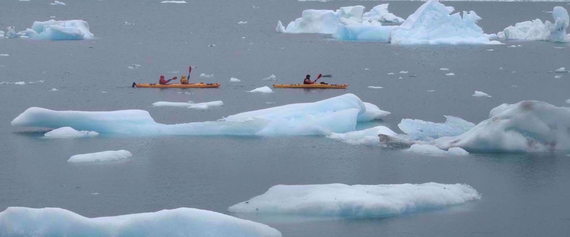 kayaking in greenland with icebergs