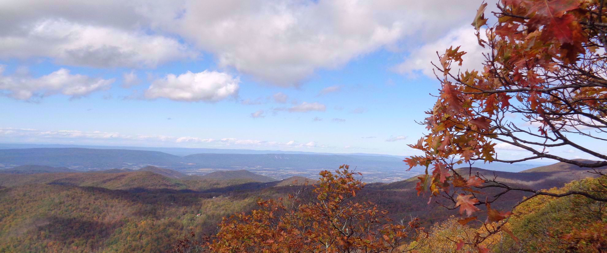 autumn leaves and colors on the appalachian trail
