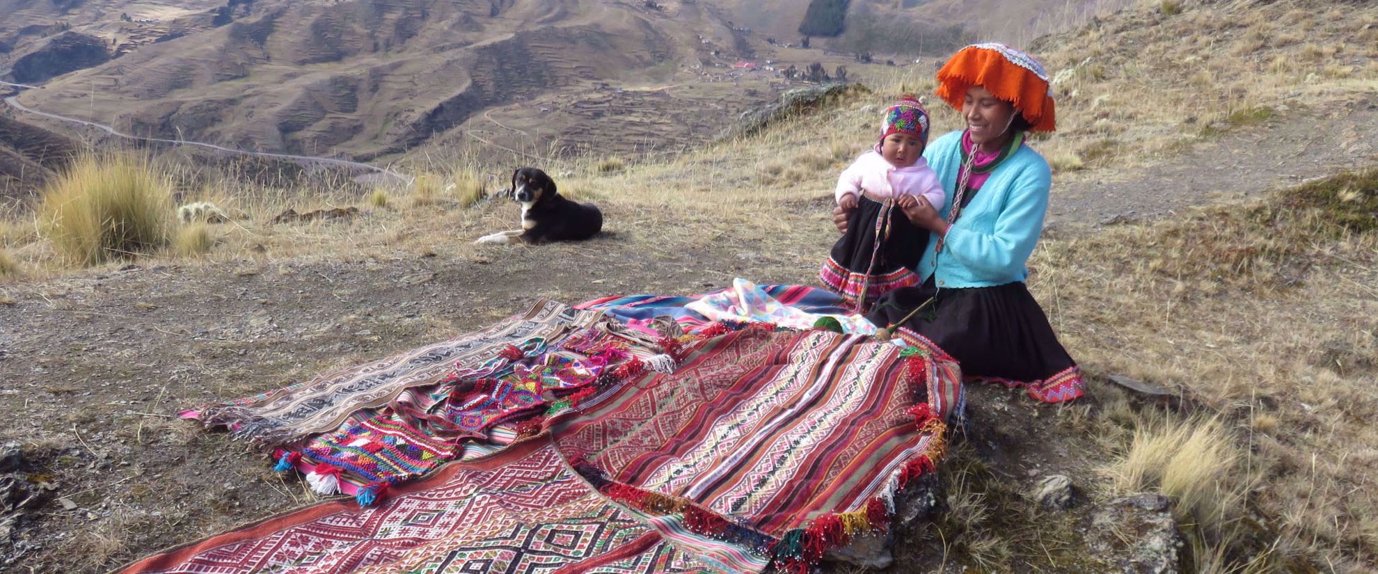 Picture of Machu Picchu and the Andean Highlands