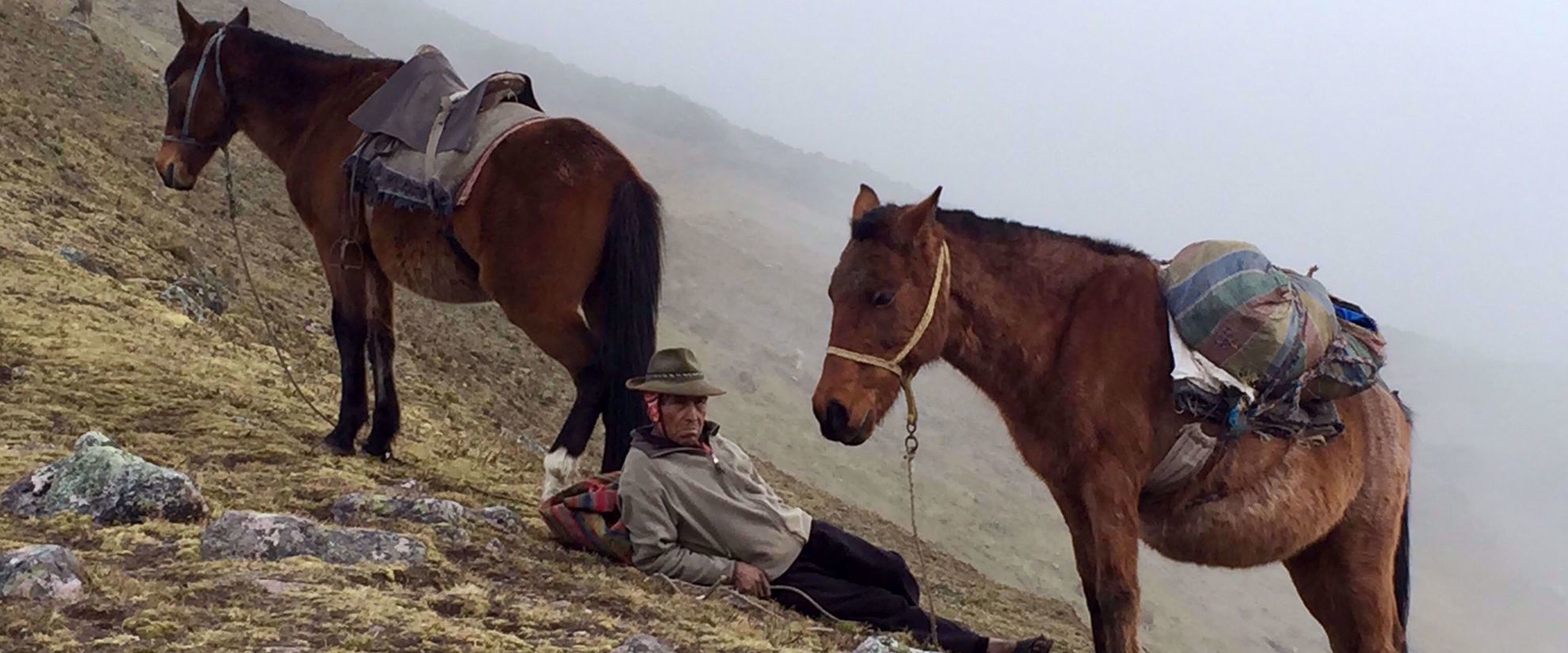 Picture of Machu Picchu and the Andean Highlands