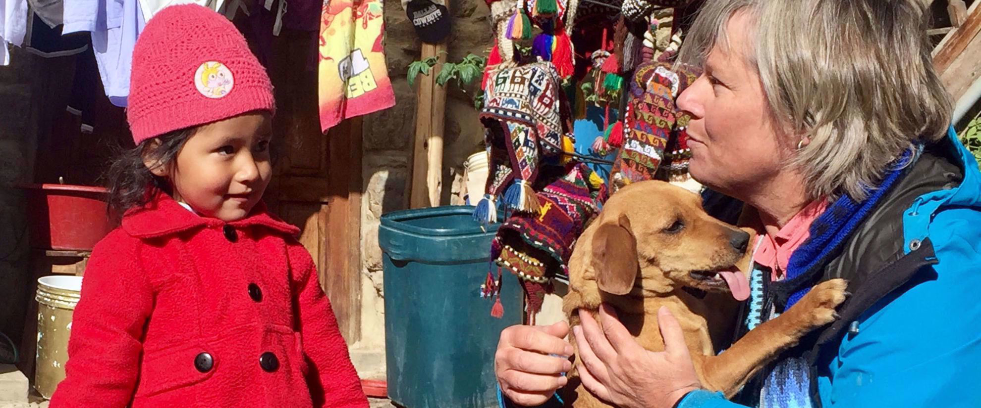 Picture of Machu Picchu and the Andean Highlands