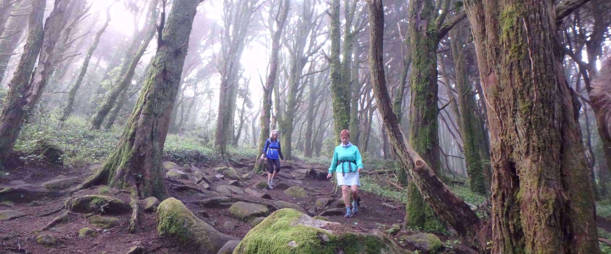women hiking through foggy forest portugal