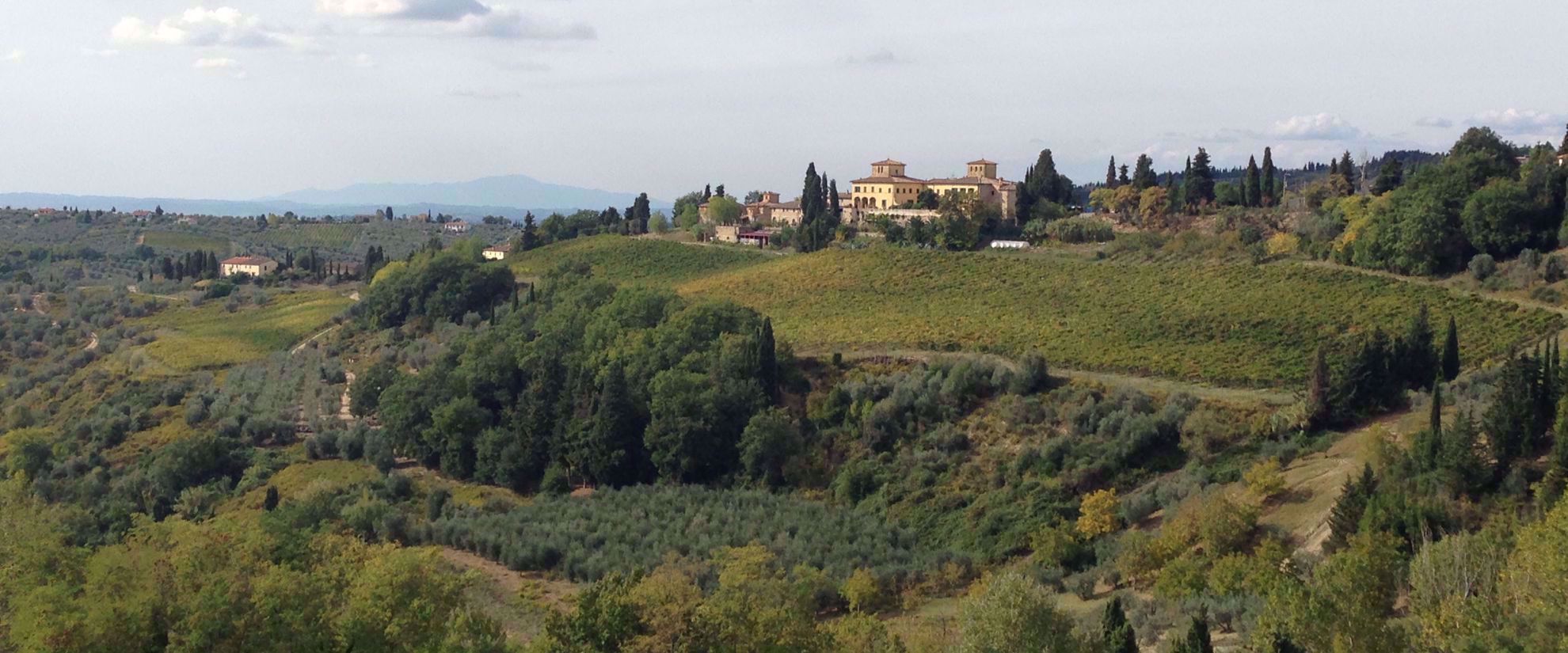 Sunny day at beautiful italian vineyard in tuscany