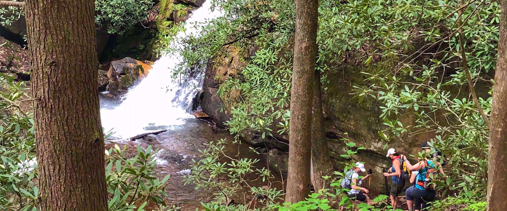 women hiking down to waterfall surrounded by greenery
