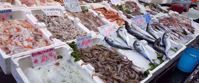 fish market in sicily