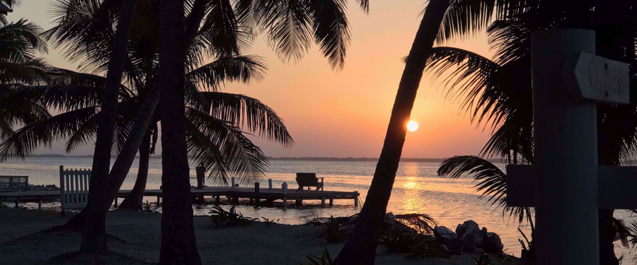 golden sunset with palm trees belize