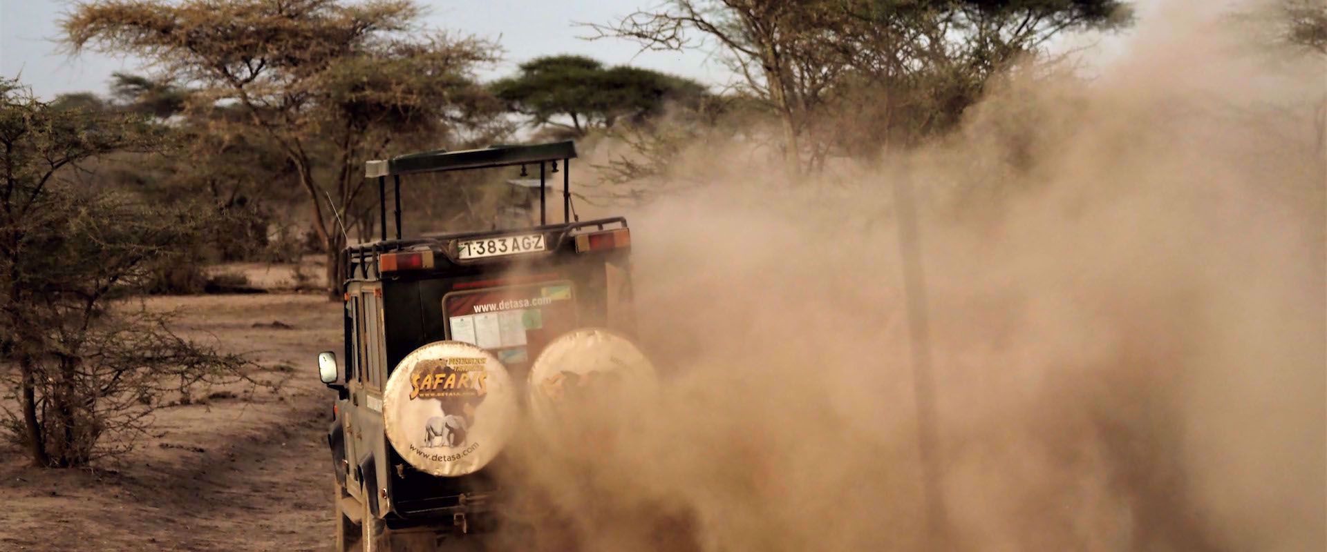 Tanzania wildlife Safari jeep women's travel tour