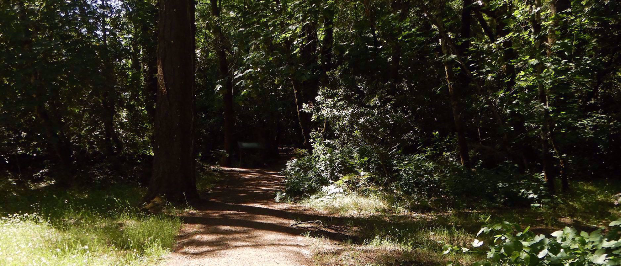 Rail Trail in napa valley