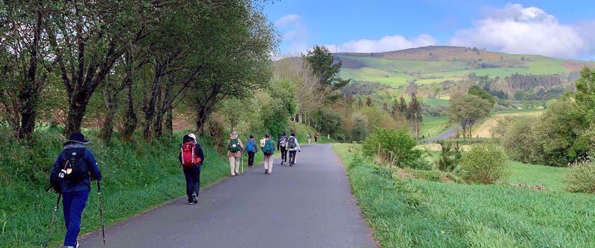 Group tour walking on paved camino de santiago with green rolling hills