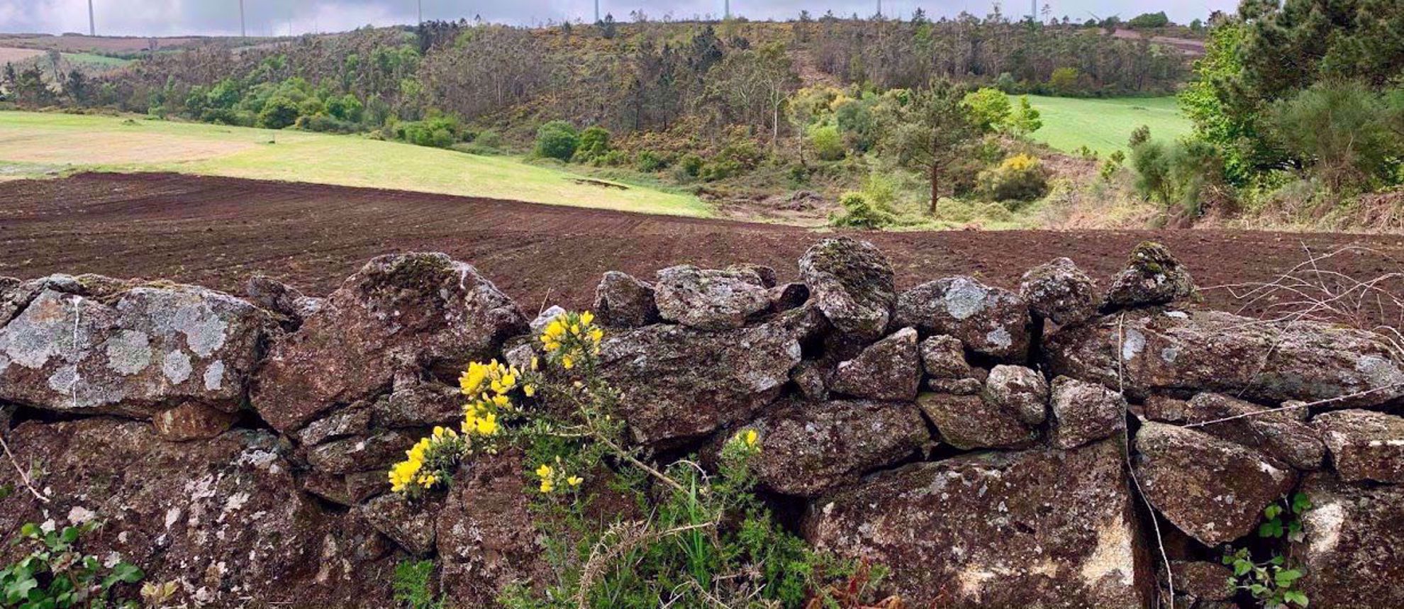 Rock wall by farmers field in Spain