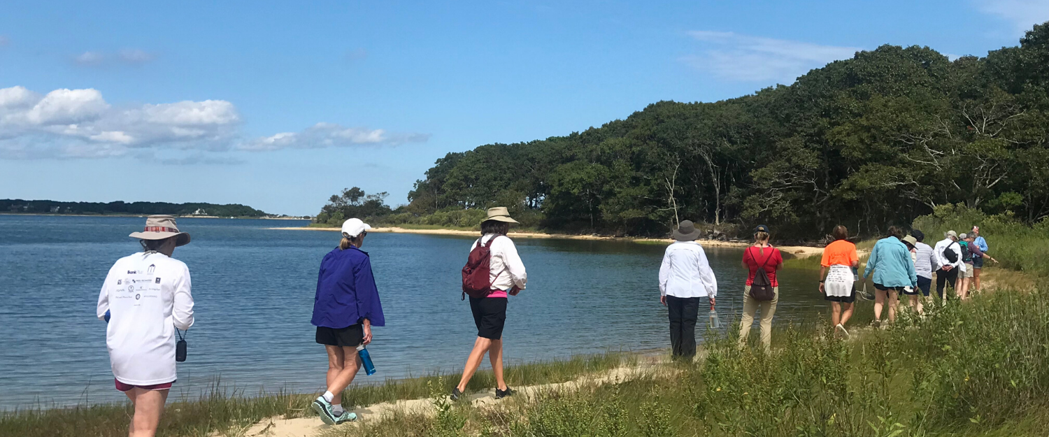 group of women on a cape cod beach adventure. the women are walking along the beach in a line, the sky is blue.