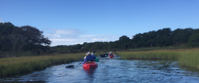 women kayaking in cape cod