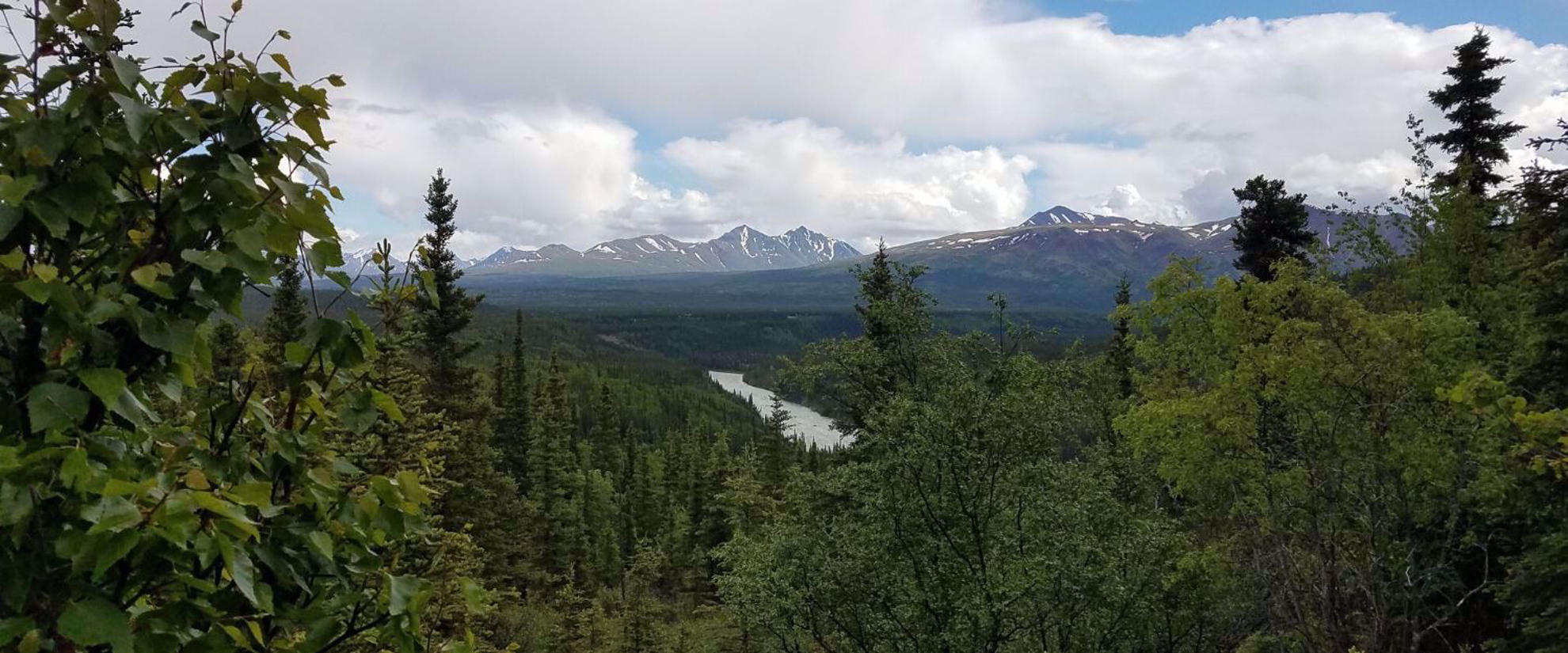 Picture of Alaska: Anchorage to Fairbanks