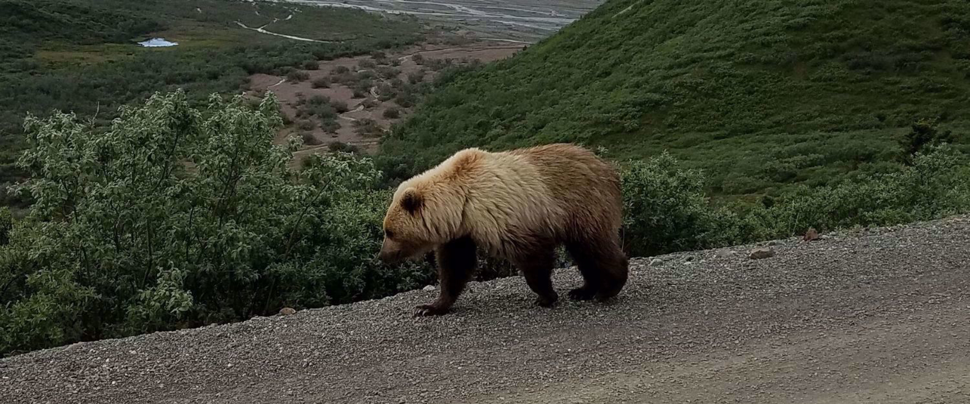 Picture of Alaska: Anchorage to Fairbanks
