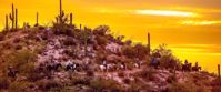 sunset horseback ride in desert around Tanque Verde Ranch