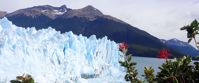 Picture of Adventures in Patagonia