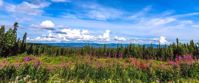 Landscape mountain photo of Alaska