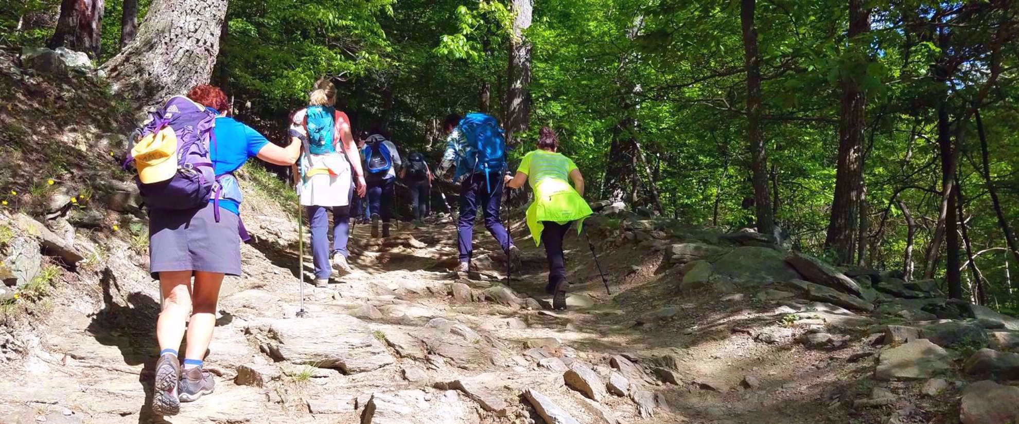 hiking near harpers ferry
