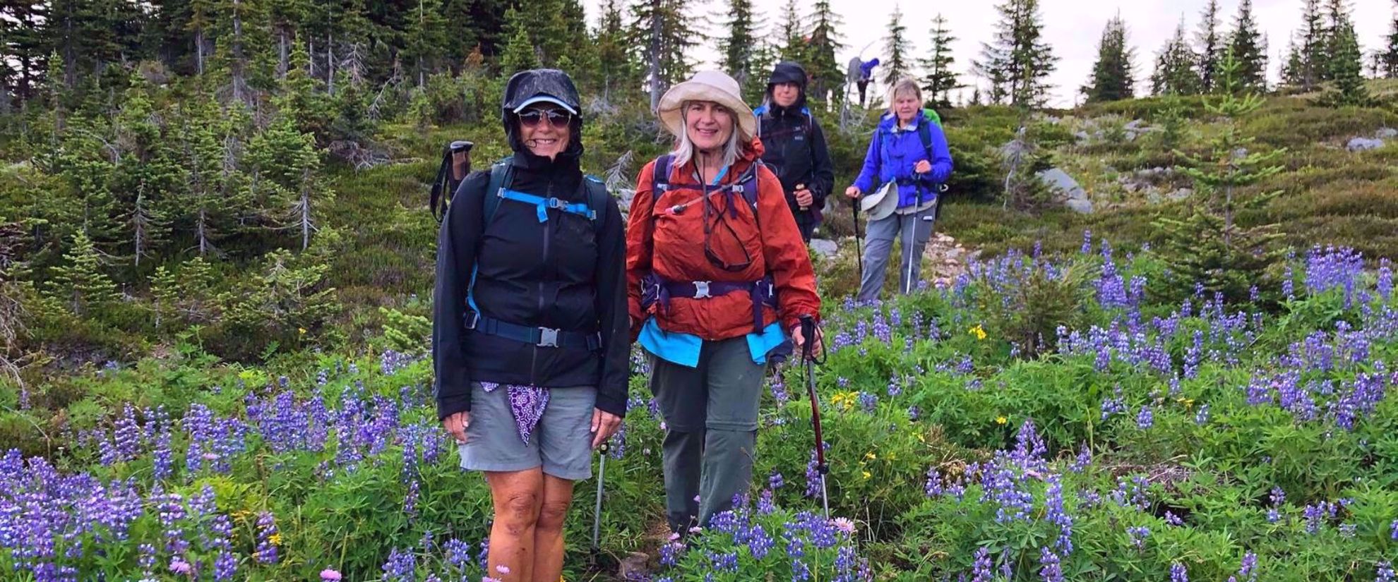 hiking through wildflowers in the wells gray