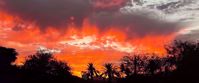 sunset in the arizona desert