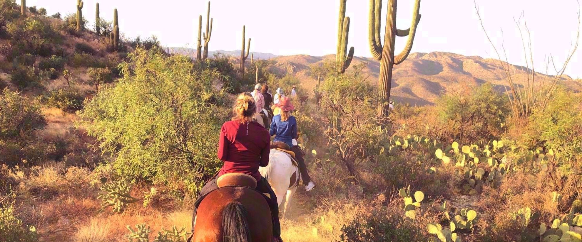 horseback riding at Tanque Verde Ranch