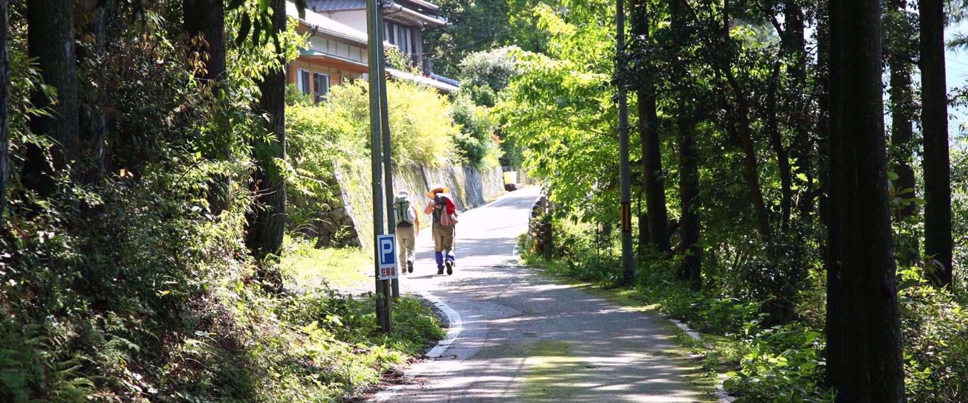 tranquility of walking the kumano kodo trail