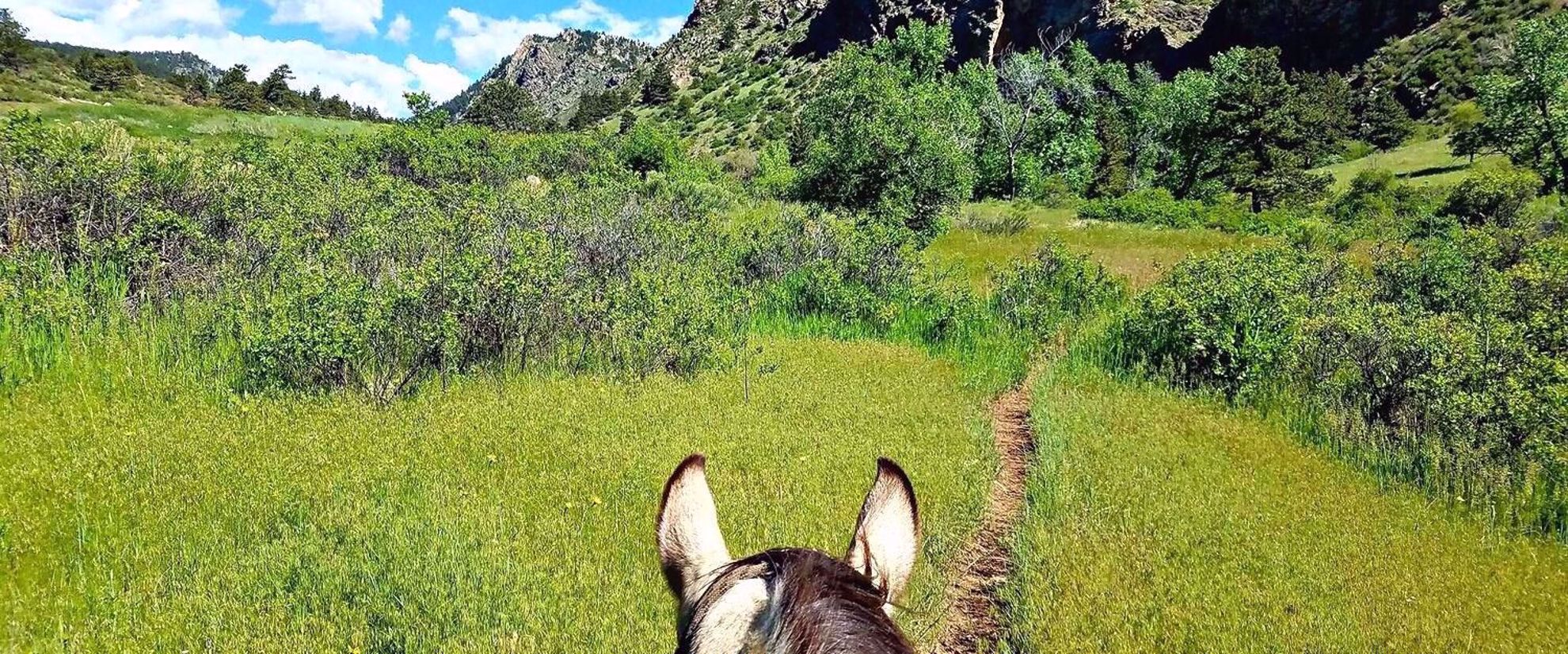 horseback riding in Colorado