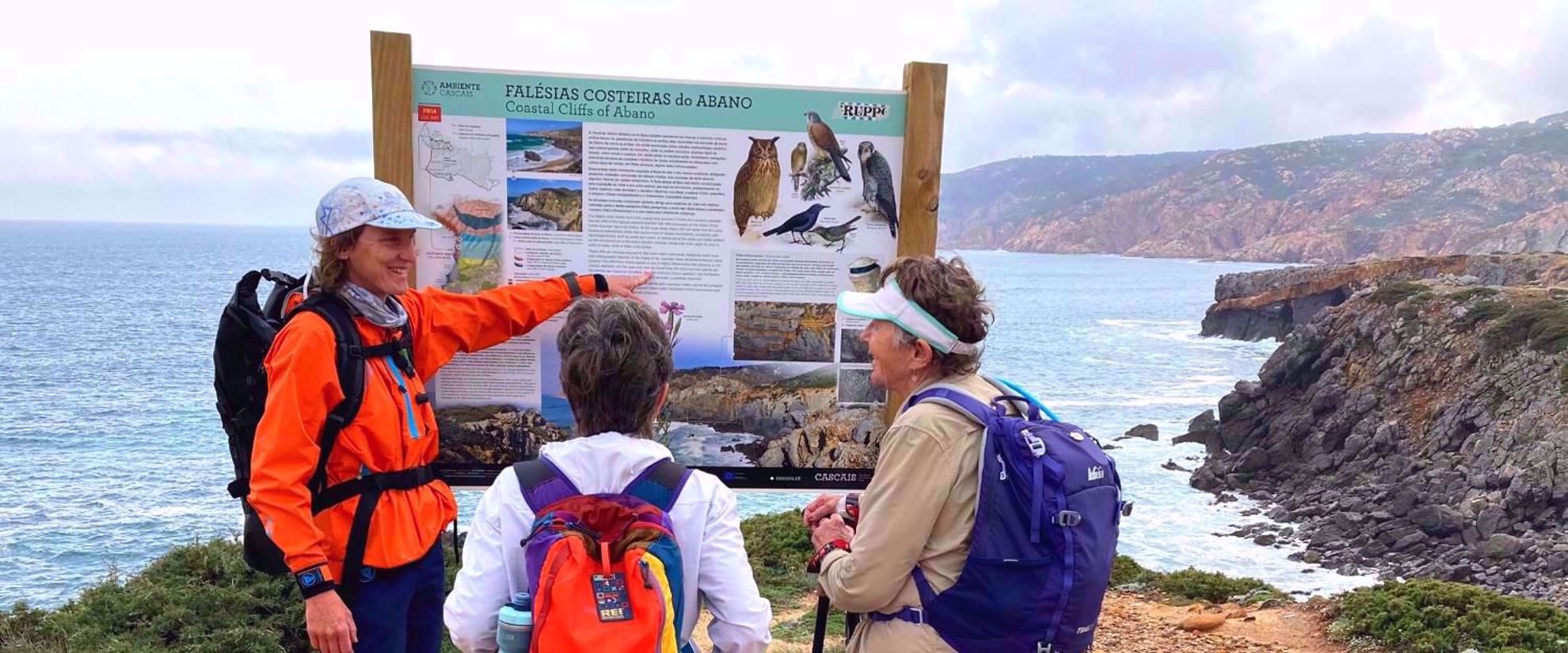 learning about natural history along the coast of portual