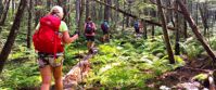 women's hiking group in the north woods of Maine