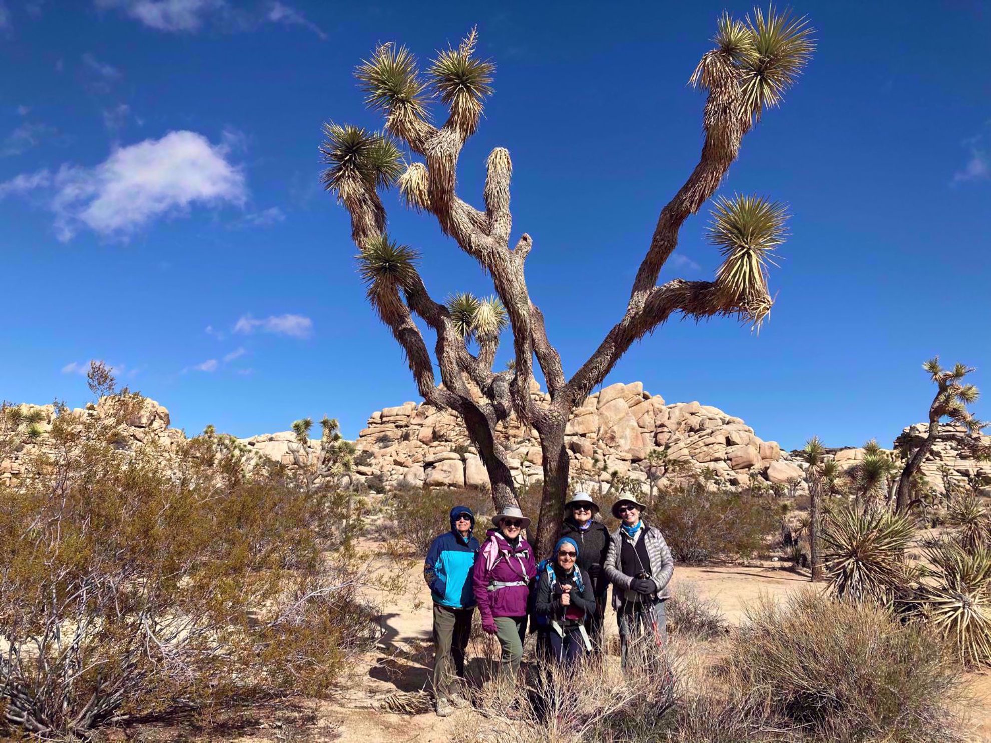 Joshua Tree National Park Womens Travel Group Joshua Tree National Park Womens Travel Group