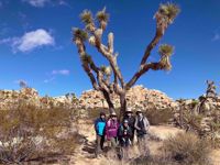 Joshua Tree National Park Womens Travel Group Joshua Tree National Park Womens Travel Group