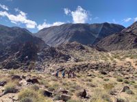 Death Valley and Joshua Tree