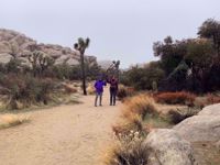 Joshua Tree National Park womens hiking trip