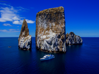 Picture of Exploring the Galapagos Islands by Yacht