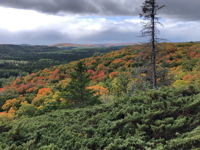 Picture of Autumn on the Superior Hiking Trail