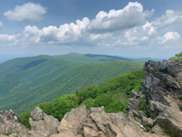 shenandoah national park scenic greenery