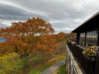 shenandoah national park lodge to lodge fall colors