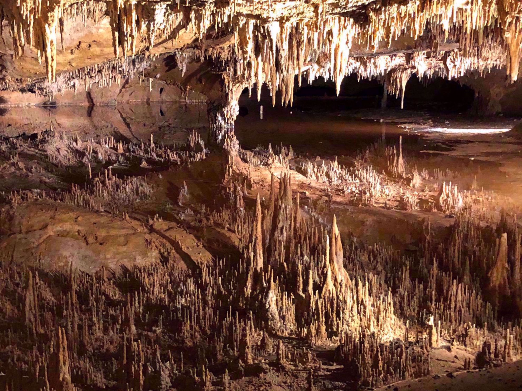 Shenandoah Caverns