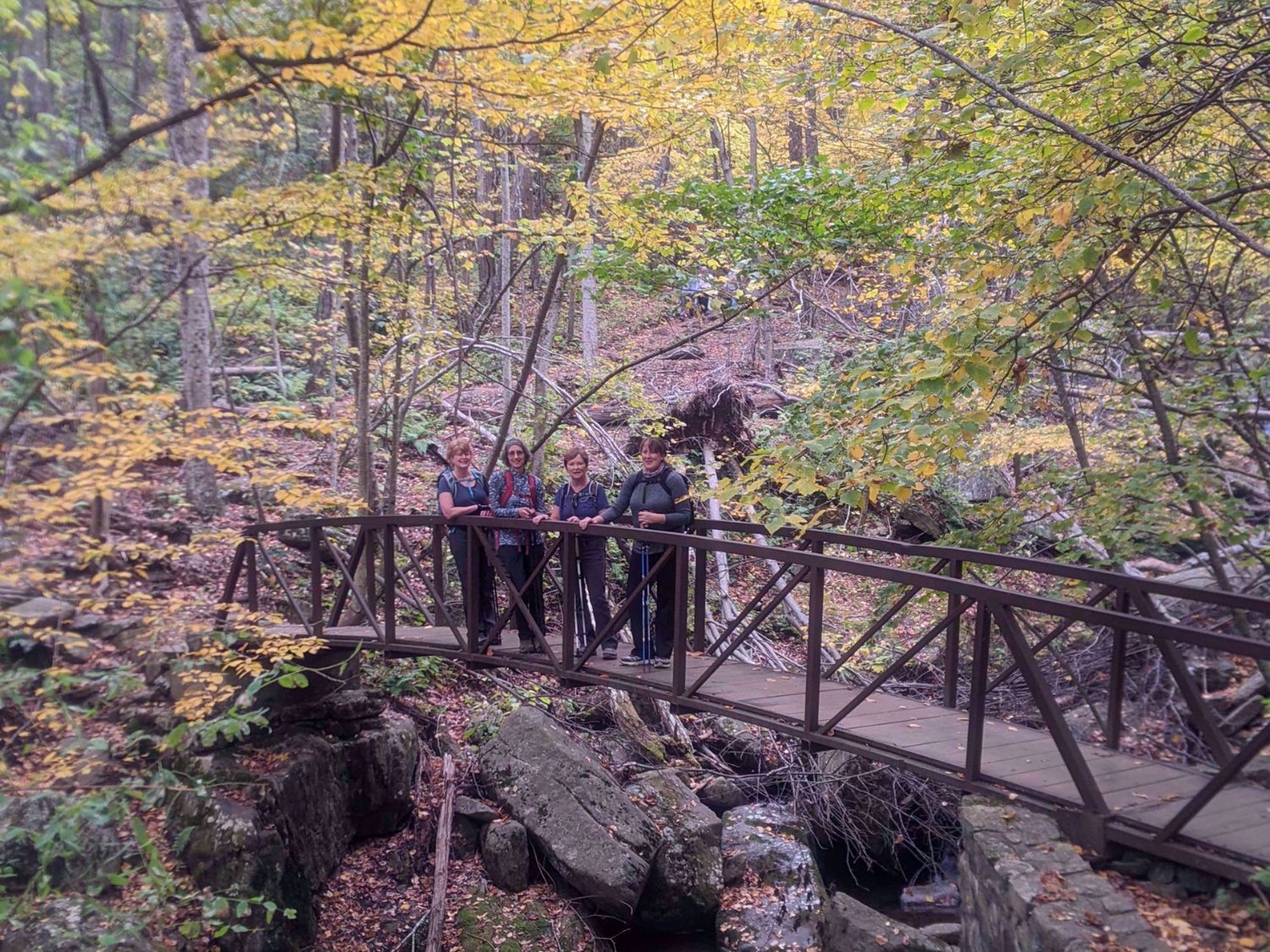 shenandoah national park scenic bridge