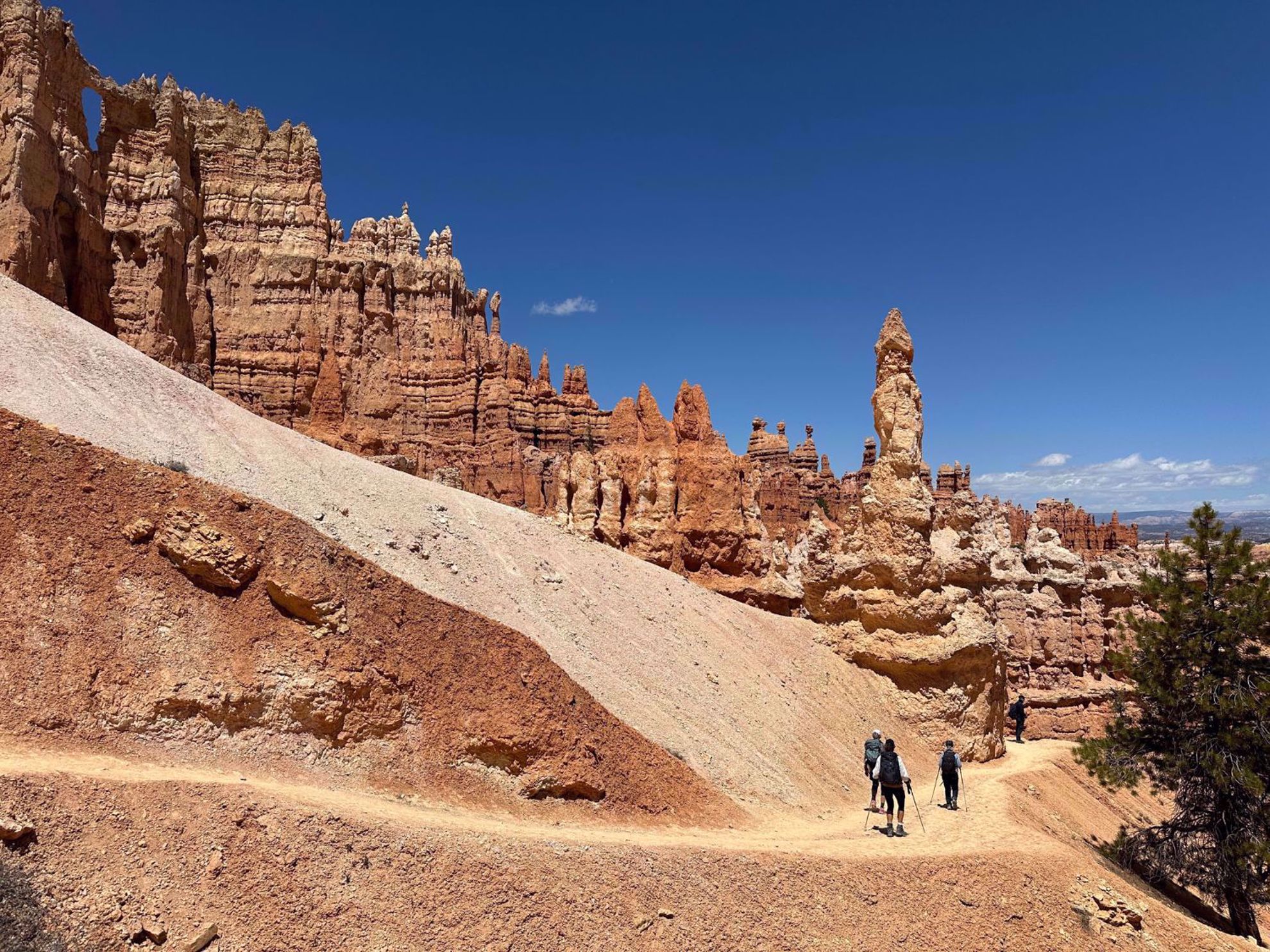 Bryce Canyon National Park scenic hike