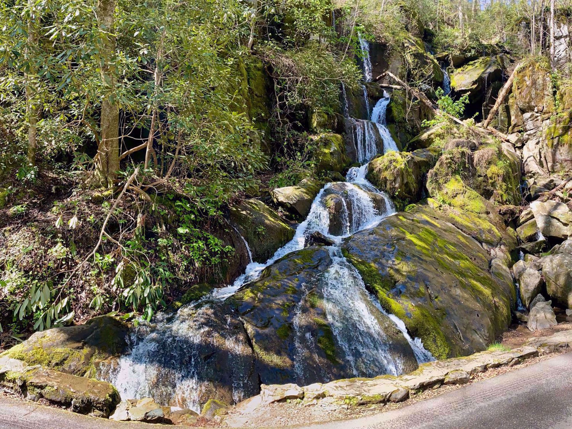 Great Smoky Mountains National Park Scenic Waterfall