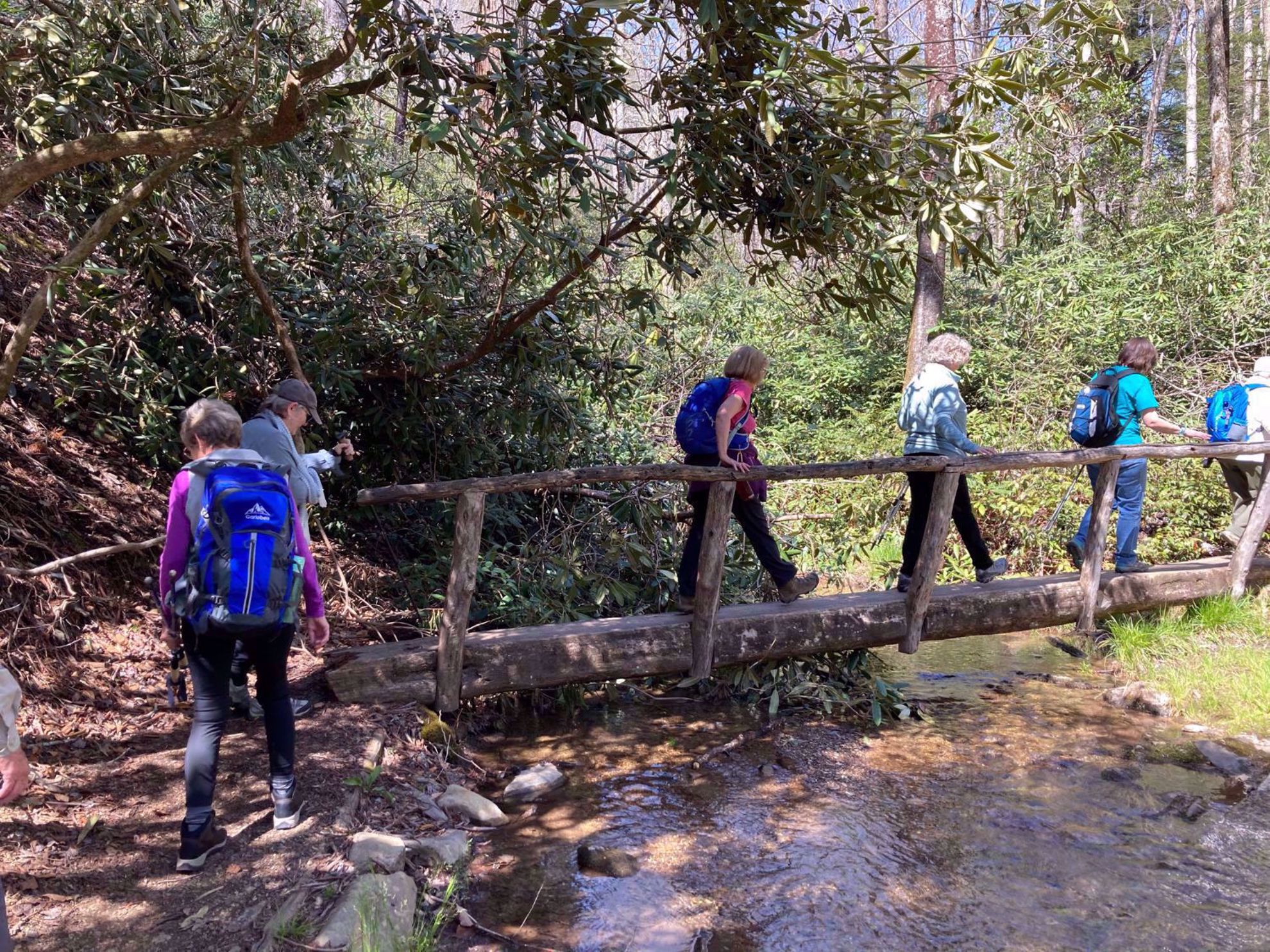 Great Smoky Mountains National Park Womens Hiking Group