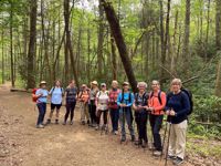 Northern Georgia Forest Womens Hiking Trip