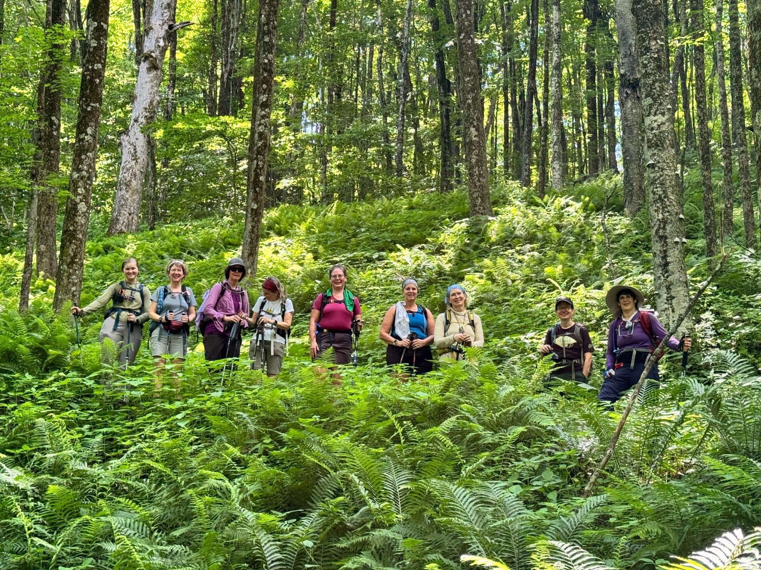 appalachian trail massachusetts bridge